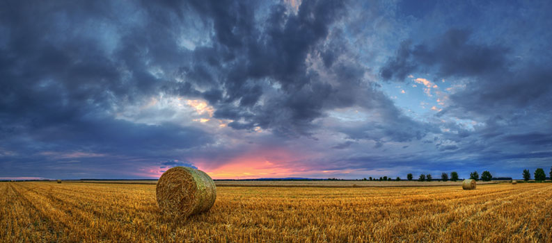Hungarian skies CXCIX.